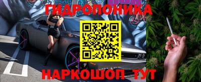 СК Сланцы