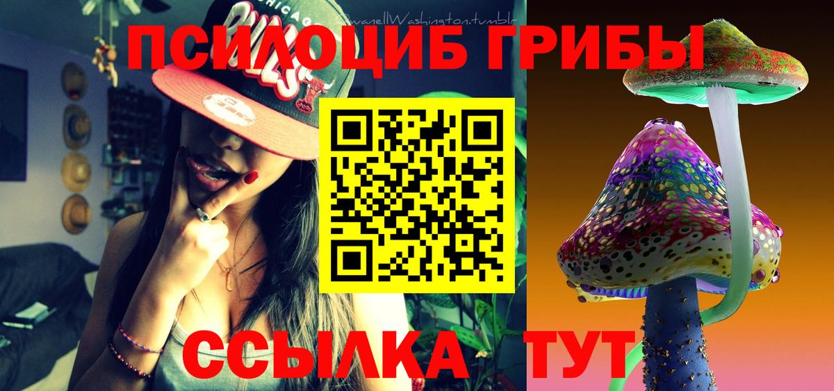 Псилоцибиновые грибы Magic Shrooms Павлово